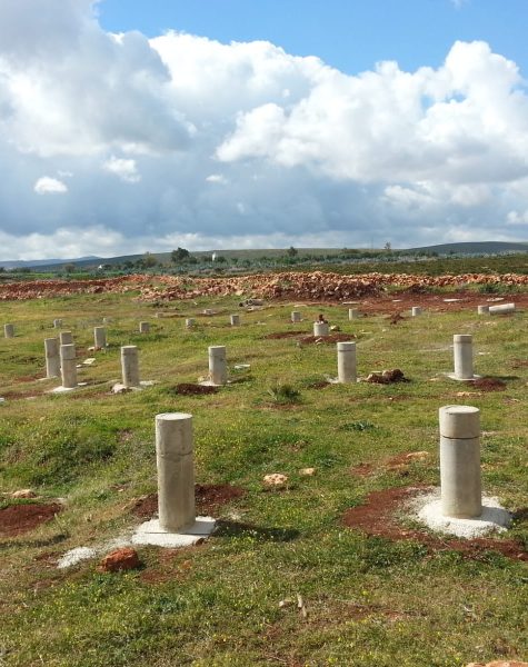 WhatsApp Image 2024-07-15 at 11.38.42 AM