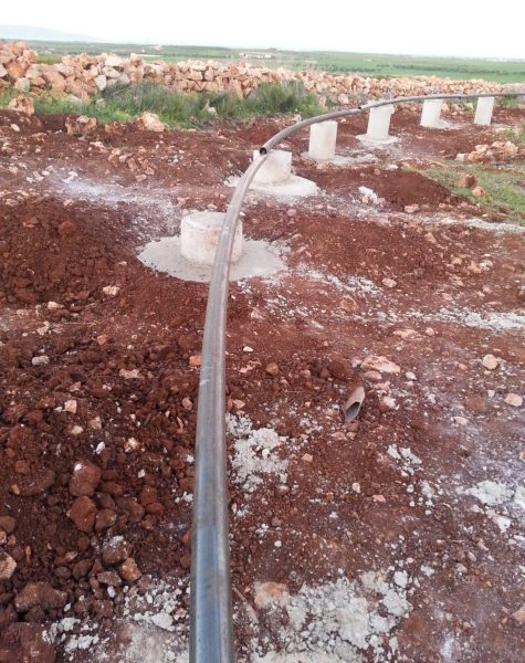 WhatsApp Image 2024-07-15 at 11.38.43 AM